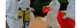 Fièvre Ebola